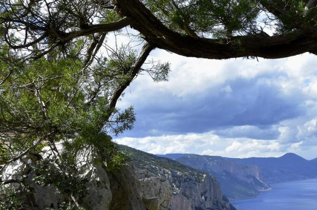 
                  IL GOLFO DI OROSEI