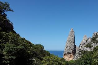 Punta Salinas